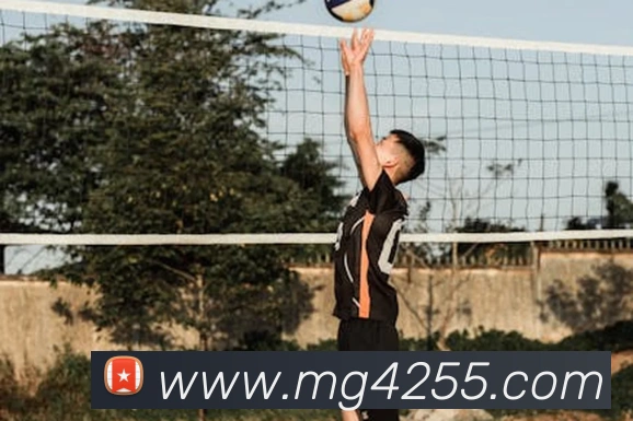 MG冰球突破平台生态图